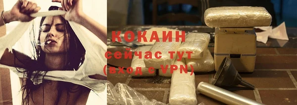 твердый Алексин