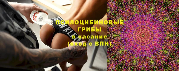 индика Инсар