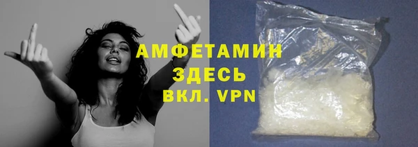 прущие грибы Инта
