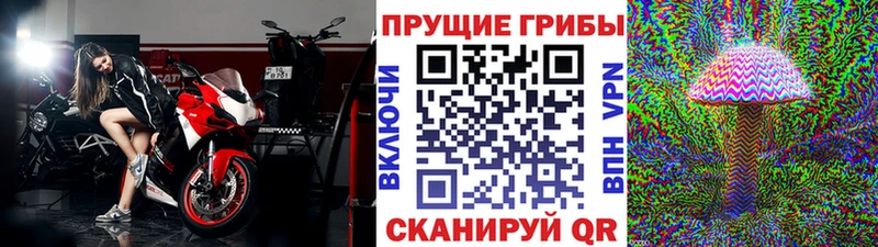 Псилоцибиновые грибы MAGIC MUSHROOMS  где купить наркоту  Каневская 