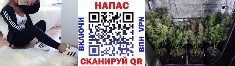 кракен онион  Каневская  Бошки марихуана LSD WEED 